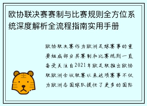 欧协联决赛赛制与比赛规则全方位系统深度解析全流程指南实用手册