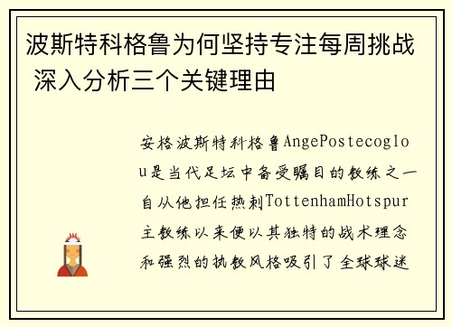 波斯特科格鲁为何坚持专注每周挑战 深入分析三个关键理由