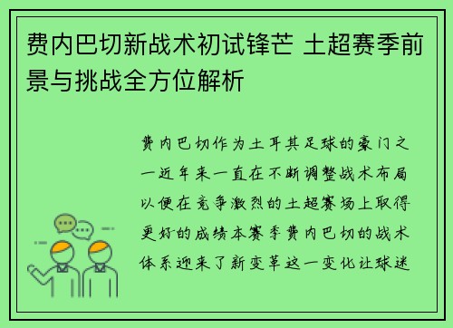 费内巴切新战术初试锋芒 土超赛季前景与挑战全方位解析