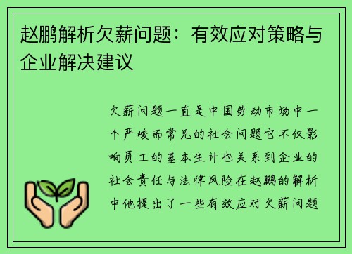 赵鹏解析欠薪问题：有效应对策略与企业解决建议